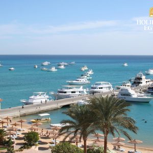 Explore the Blue: Diving Adventure in Hurghada