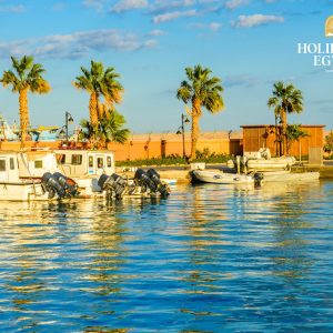 Private Day Tour to Luxor from Marsa Alam